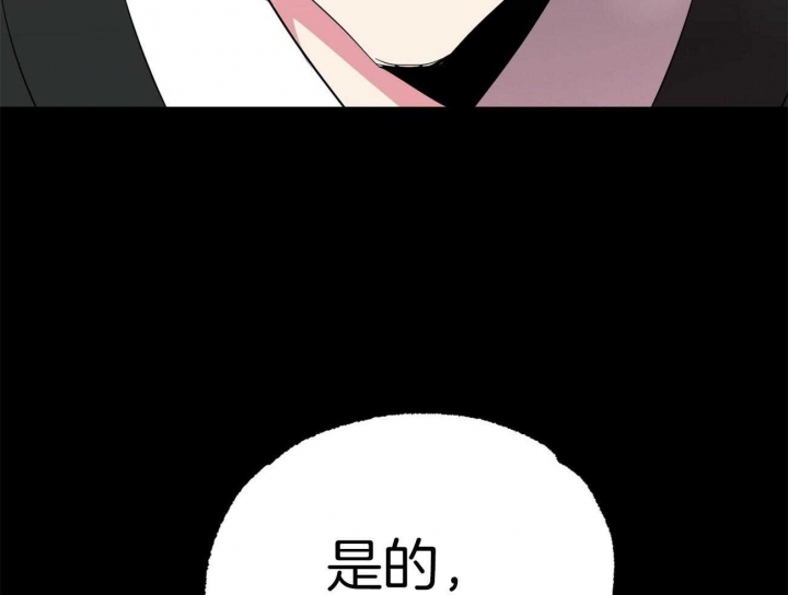 《 夏菲菲的兔子》漫画最新章节第16话免费下拉式在线观看章节第【7】张图片