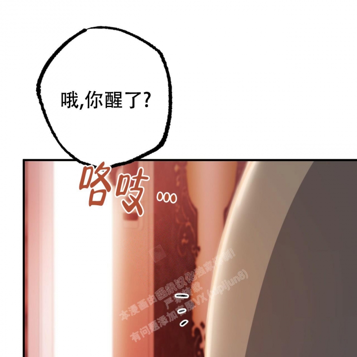 《 夏菲菲的兔子》漫画最新章节第92话免费下拉式在线观看章节第【75】张图片