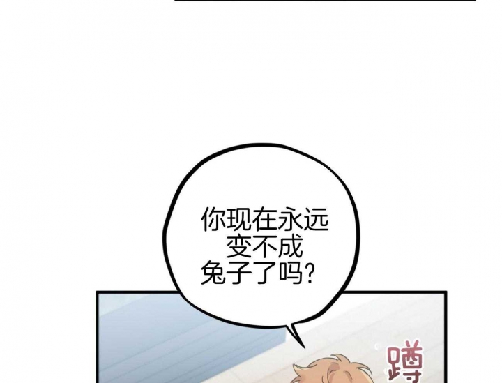 《 夏菲菲的兔子》漫画最新章节第18话免费下拉式在线观看章节第【48】张图片