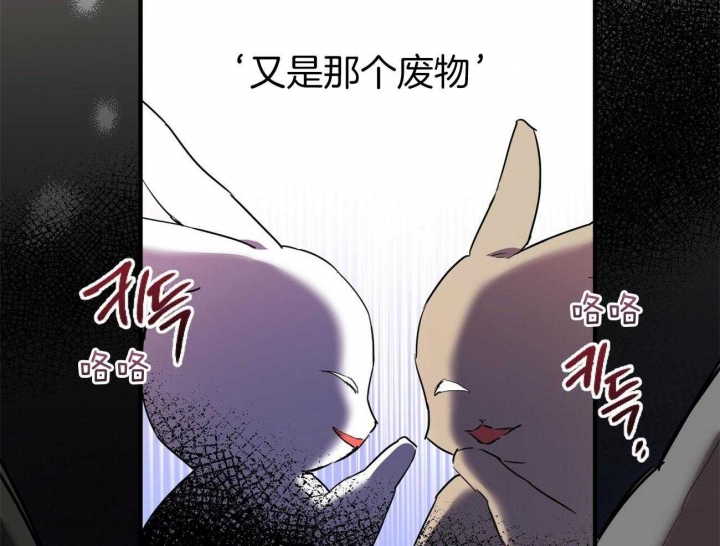 《 夏菲菲的兔子》漫画最新章节第14话免费下拉式在线观看章节第【3】张图片