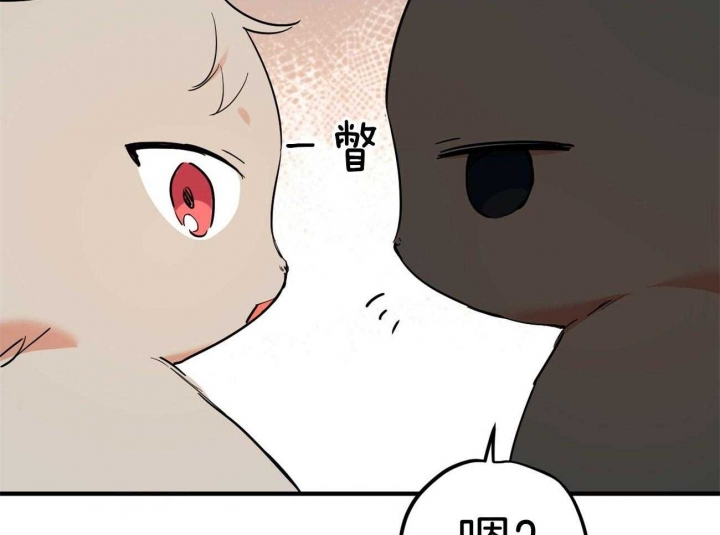 《 夏菲菲的兔子》漫画最新章节第28话免费下拉式在线观看章节第【65】张图片