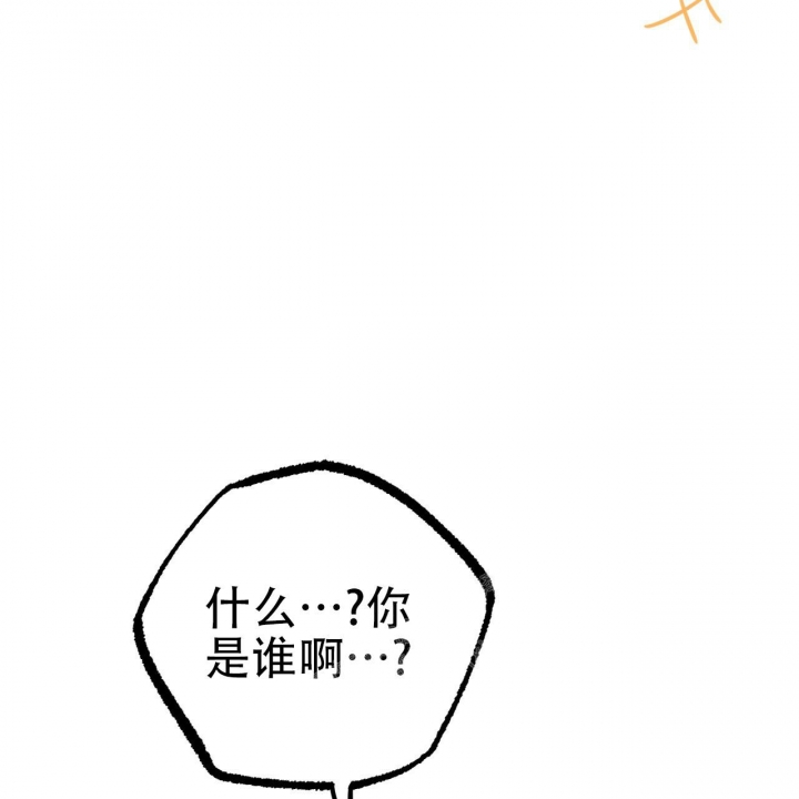 《 夏菲菲的兔子》漫画最新章节第96话免费下拉式在线观看章节第【72】张图片