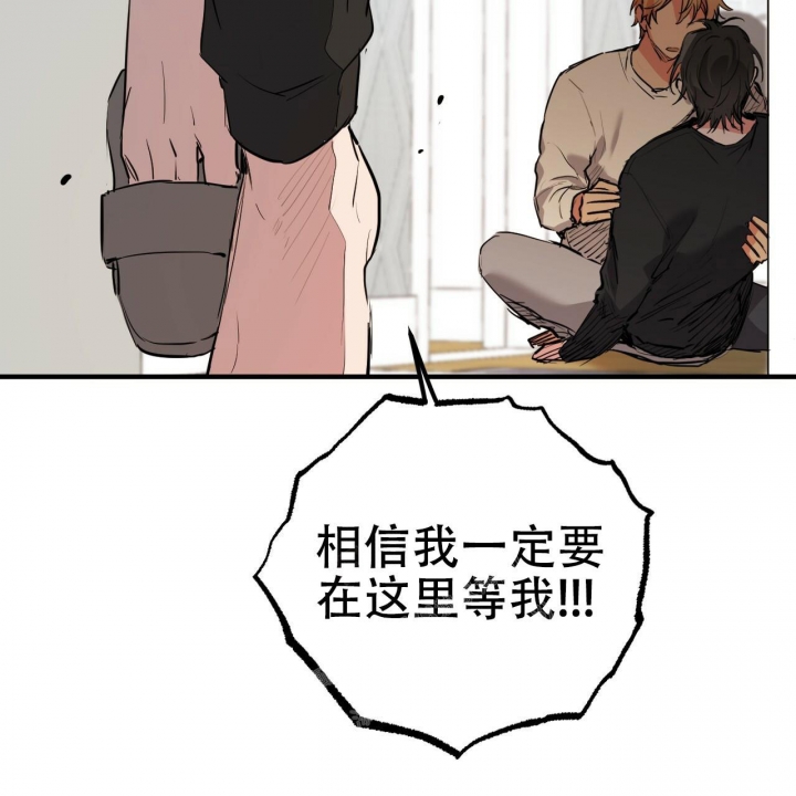 《 夏菲菲的兔子》漫画最新章节第91话免费下拉式在线观看章节第【24】张图片