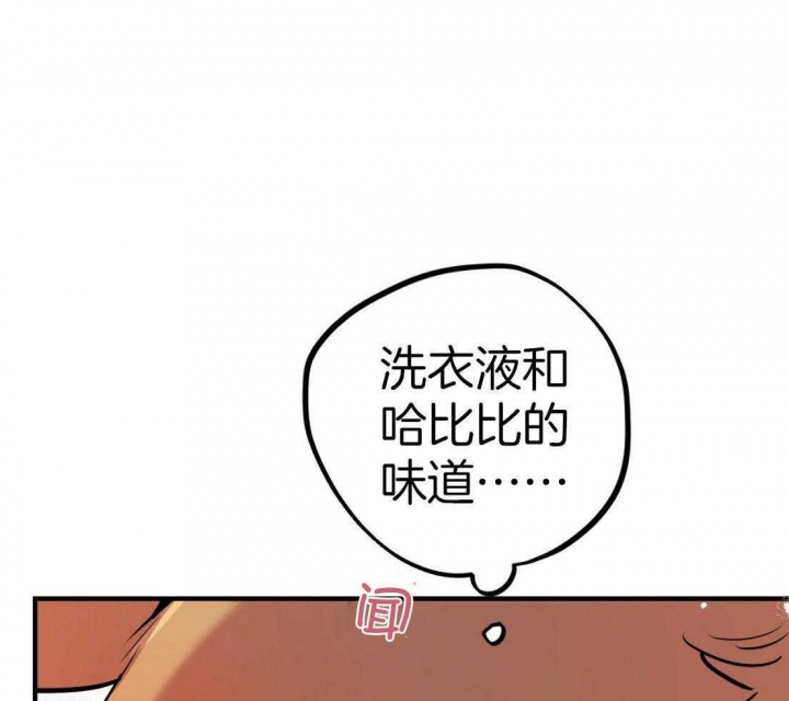 《 夏菲菲的兔子》漫画最新章节第51话免费下拉式在线观看章节第【1】张图片