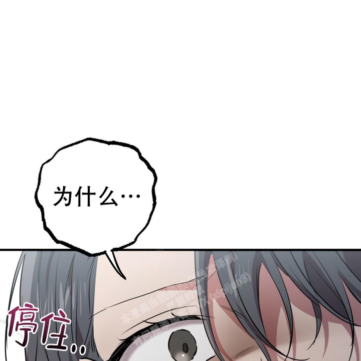 《 夏菲菲的兔子》漫画最新章节第86话免费下拉式在线观看章节第【62】张图片