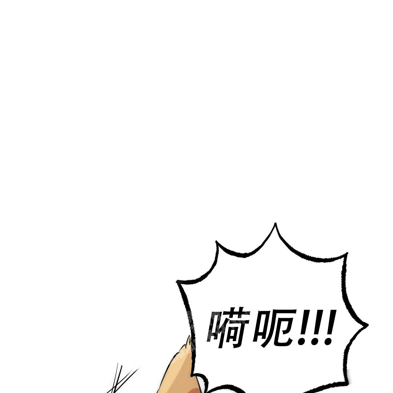 《 夏菲菲的兔子》漫画最新章节第105话免费下拉式在线观看章节第【5】张图片