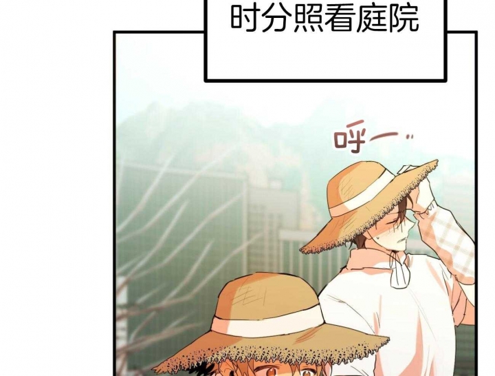 《 夏菲菲的兔子》漫画最新章节第29话免费下拉式在线观看章节第【13】张图片