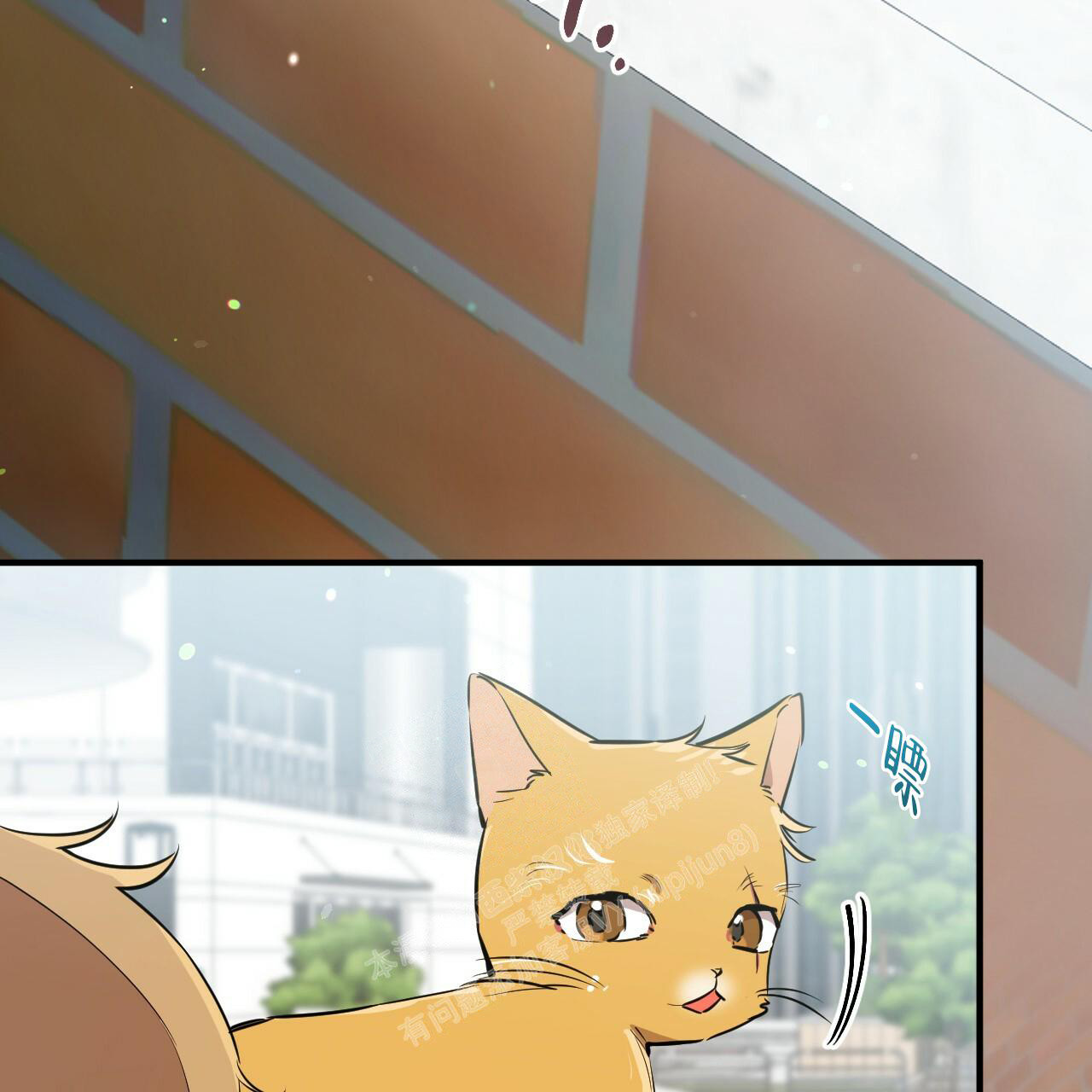 《 夏菲菲的兔子》漫画最新章节第114话免费下拉式在线观看章节第【47】张图片