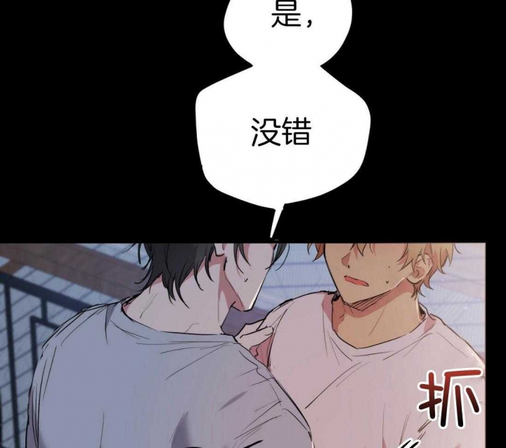 《 夏菲菲的兔子》漫画最新章节第54话免费下拉式在线观看章节第【54】张图片