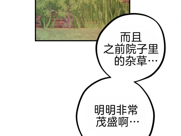 《 夏菲菲的兔子》漫画最新章节第77话免费下拉式在线观看章节第【3】张图片