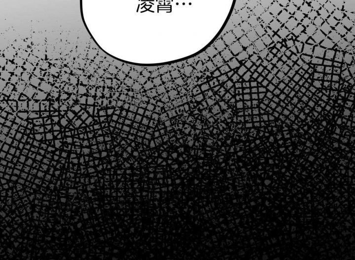 《 夏菲菲的兔子》漫画最新章节第63话免费下拉式在线观看章节第【107】张图片