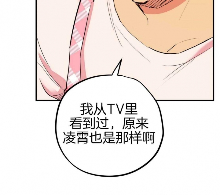 《 夏菲菲的兔子》漫画最新章节第49话免费下拉式在线观看章节第【31】张图片