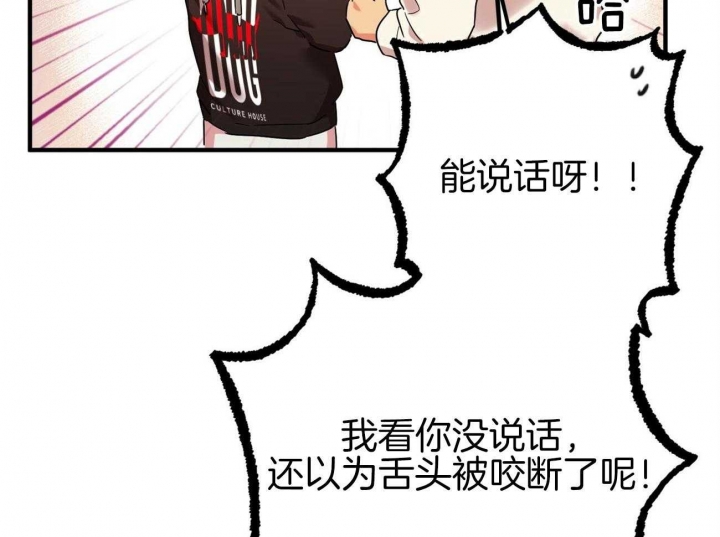 《 夏菲菲的兔子》漫画最新章节第17话免费下拉式在线观看章节第【56】张图片