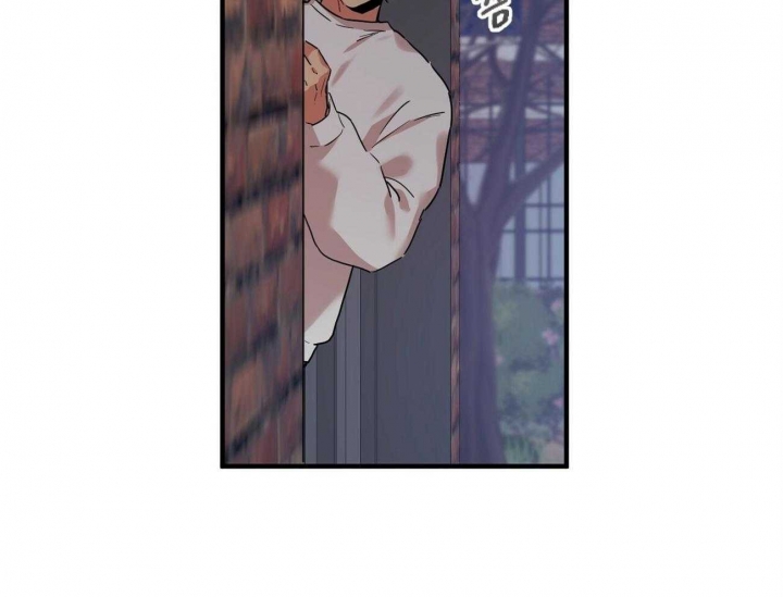 《 夏菲菲的兔子》漫画最新章节第18话免费下拉式在线观看章节第【37】张图片
