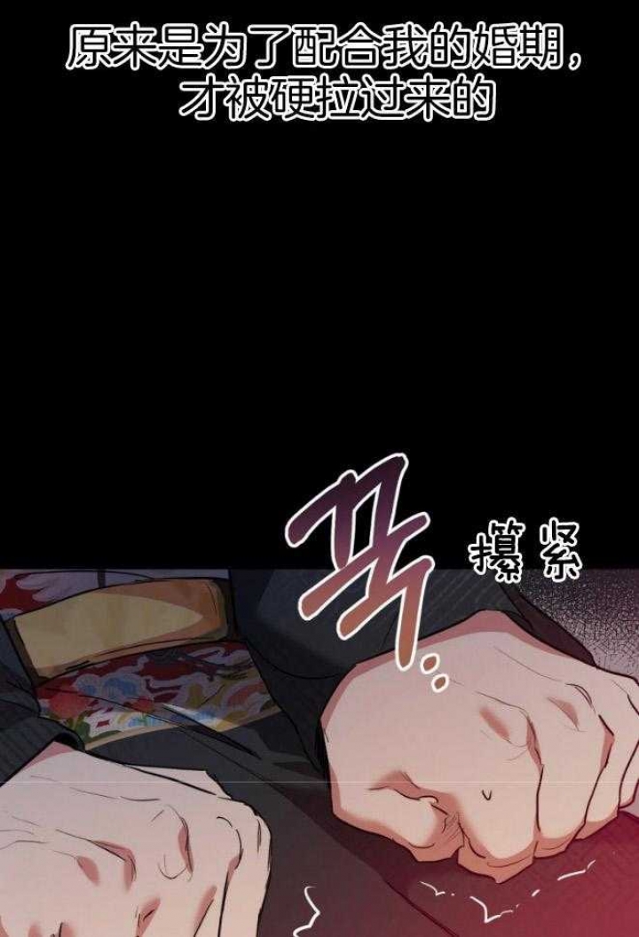 《 夏菲菲的兔子》漫画最新章节第46话免费下拉式在线观看章节第【17】张图片