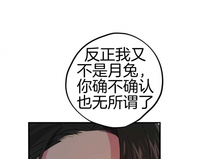 《 夏菲菲的兔子》漫画最新章节第27话免费下拉式在线观看章节第【14】张图片