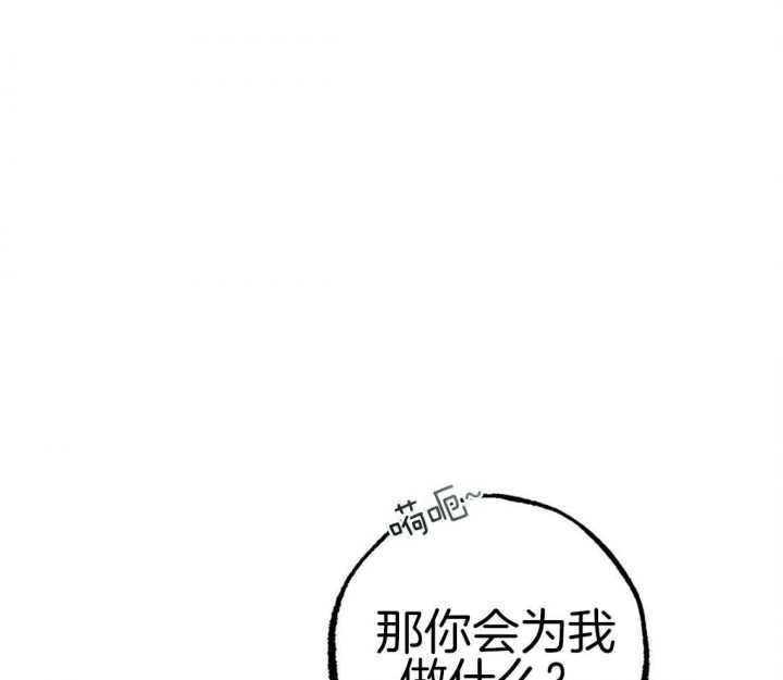 《 夏菲菲的兔子》漫画最新章节第68话免费下拉式在线观看章节第【65】张图片