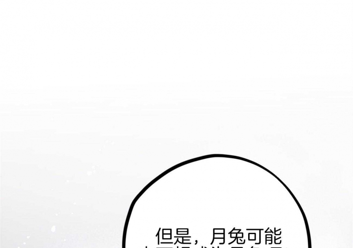 《 夏菲菲的兔子》漫画最新章节第13话免费下拉式在线观看章节第【66】张图片