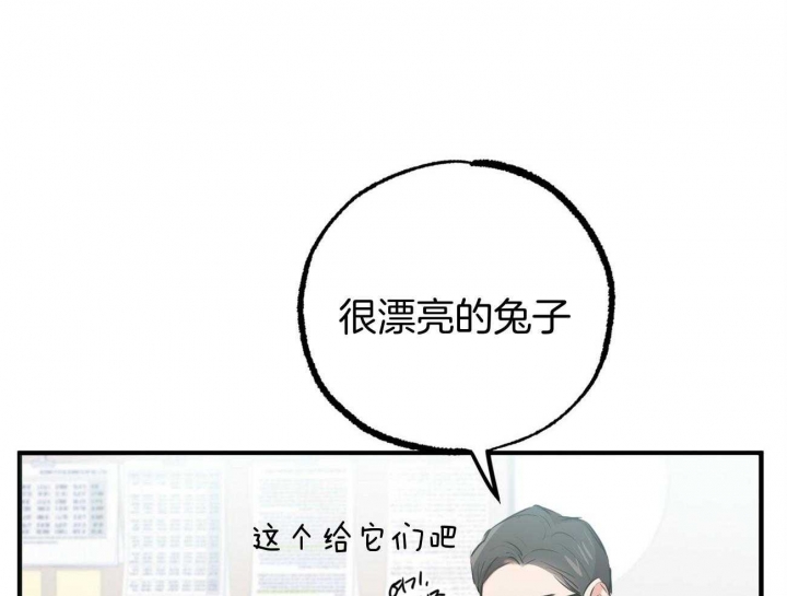 《 夏菲菲的兔子》漫画最新章节第74话免费下拉式在线观看章节第【72】张图片