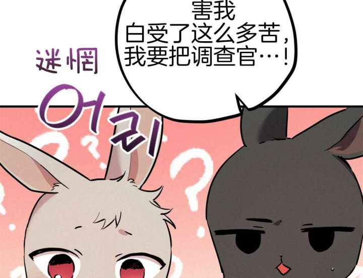 《 夏菲菲的兔子》漫画最新章节第8话免费下拉式在线观看章节第【71】张图片