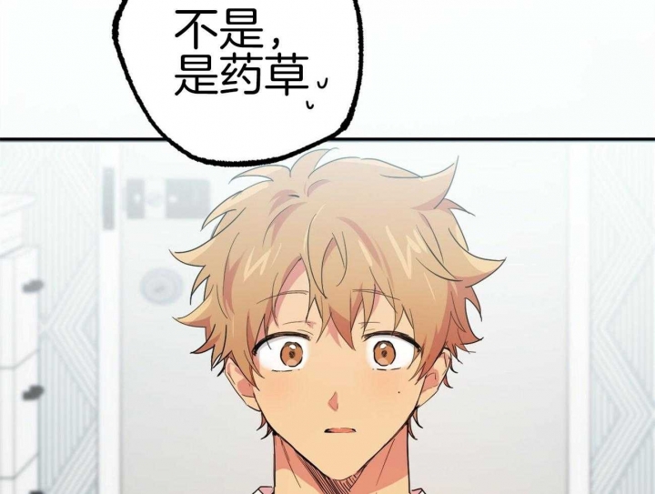 《 夏菲菲的兔子》漫画最新章节第32话免费下拉式在线观看章节第【55】张图片
