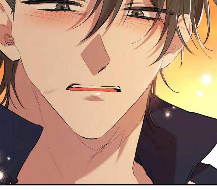 《 夏菲菲的兔子》漫画最新章节第65话免费下拉式在线观看章节第【101】张图片