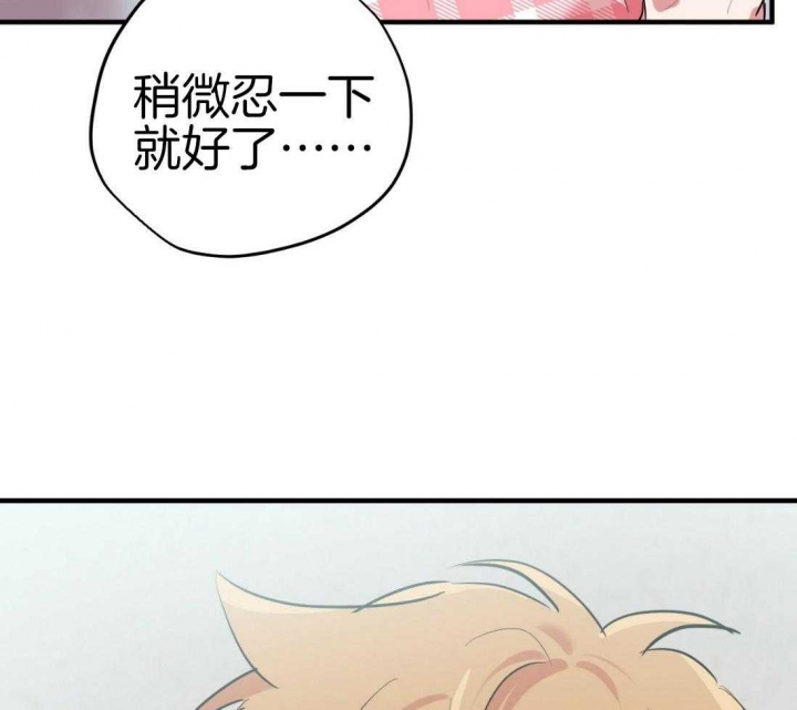 《 夏菲菲的兔子》漫画最新章节第48话免费下拉式在线观看章节第【36】张图片