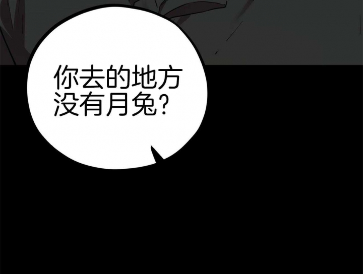 《 夏菲菲的兔子》漫画最新章节第16话免费下拉式在线观看章节第【5】张图片