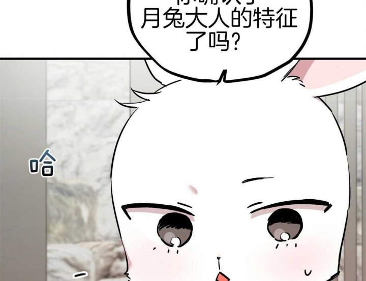 《 夏菲菲的兔子》漫画最新章节第8话免费下拉式在线观看章节第【86】张图片