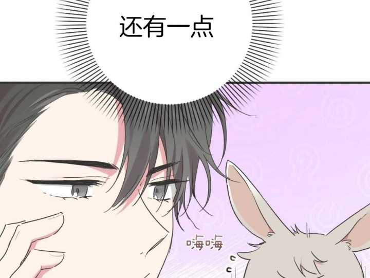 《 夏菲菲的兔子》漫画最新章节第24话免费下拉式在线观看章节第【8】张图片