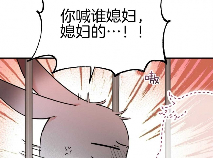 《 夏菲菲的兔子》漫画最新章节第5话免费下拉式在线观看章节第【62】张图片