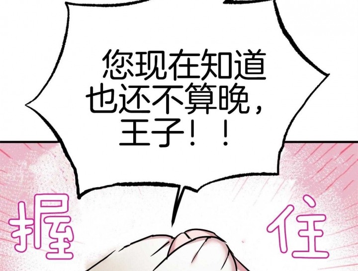 《 夏菲菲的兔子》漫画最新章节第9话免费下拉式在线观看章节第【2】张图片