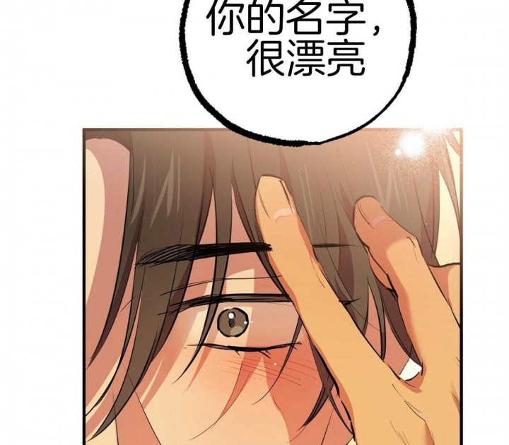 《 夏菲菲的兔子》漫画最新章节第68话免费下拉式在线观看章节第【38】张图片