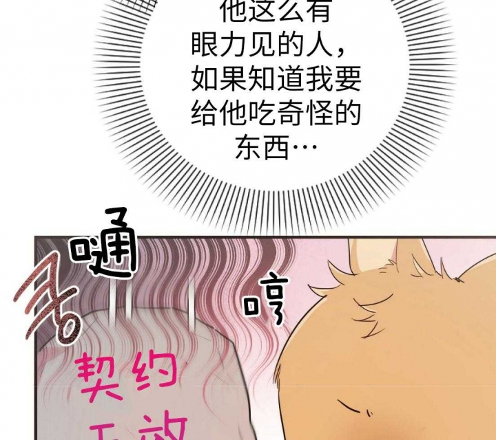 《 夏菲菲的兔子》漫画最新章节第36话免费下拉式在线观看章节第【11】张图片