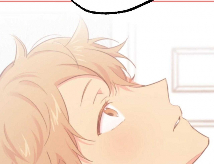 《 夏菲菲的兔子》漫画最新章节第61话免费下拉式在线观看章节第【12】张图片