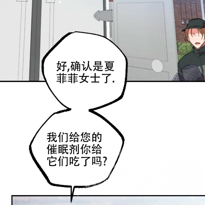 《 夏菲菲的兔子》漫画最新章节第90话免费下拉式在线观看章节第【48】张图片