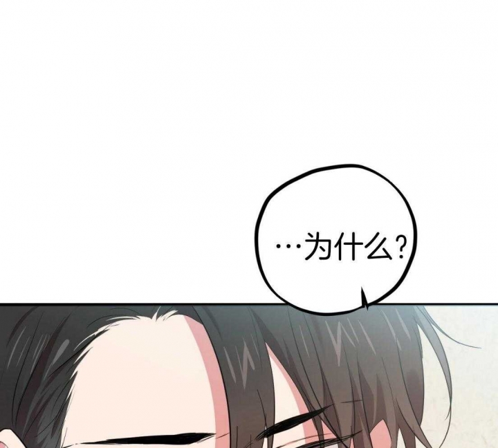 《 夏菲菲的兔子》漫画最新章节第48话免费下拉式在线观看章节第【6】张图片