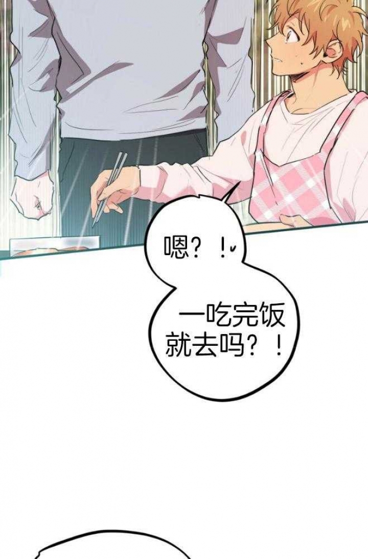 《 夏菲菲的兔子》漫画最新章节第44话免费下拉式在线观看章节第【16】张图片