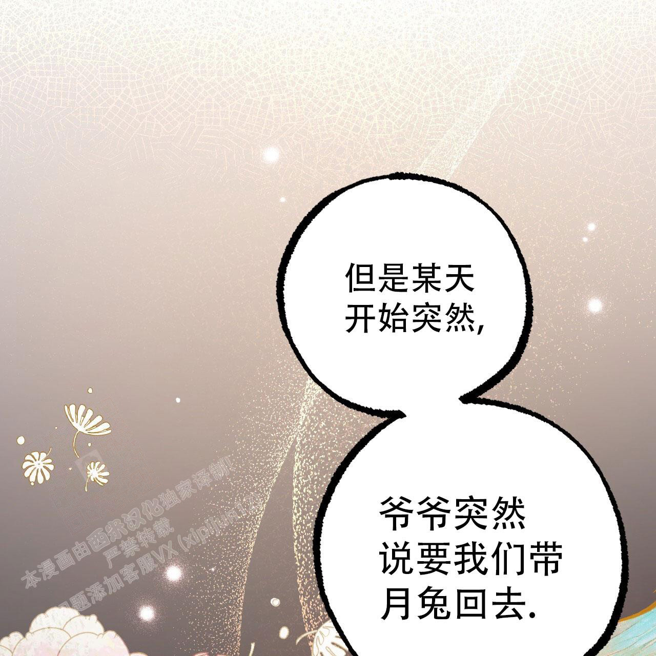 《 夏菲菲的兔子》漫画最新章节第138话免费下拉式在线观看章节第【94】张图片