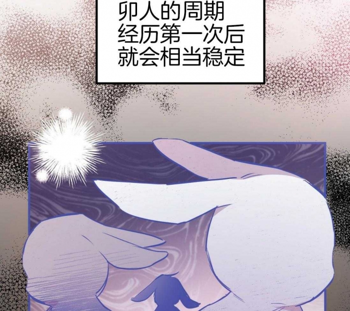 《 夏菲菲的兔子》漫画最新章节第48话免费下拉式在线观看章节第【24】张图片