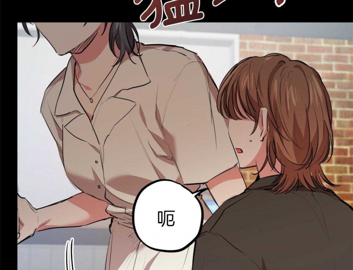 《 夏菲菲的兔子》漫画最新章节第78话免费下拉式在线观看章节第【35】张图片