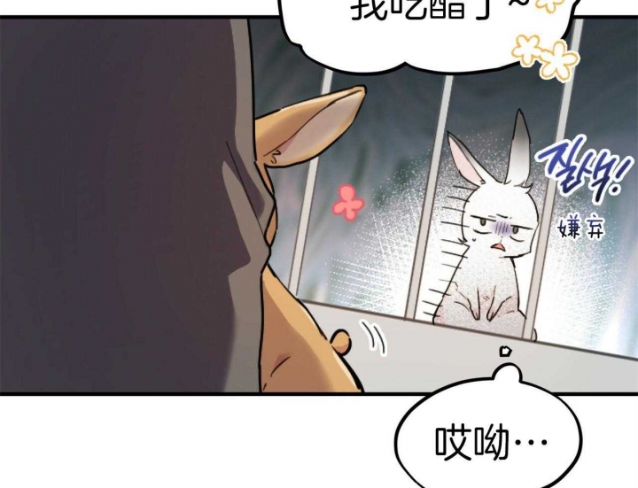 《 夏菲菲的兔子》漫画最新章节第6话免费下拉式在线观看章节第【23】张图片