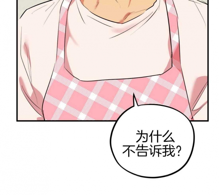 《 夏菲菲的兔子》漫画最新章节第48话免费下拉式在线观看章节第【47】张图片