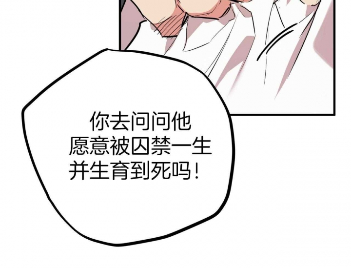 《 夏菲菲的兔子》漫画最新章节第61话免费下拉式在线观看章节第【37】张图片