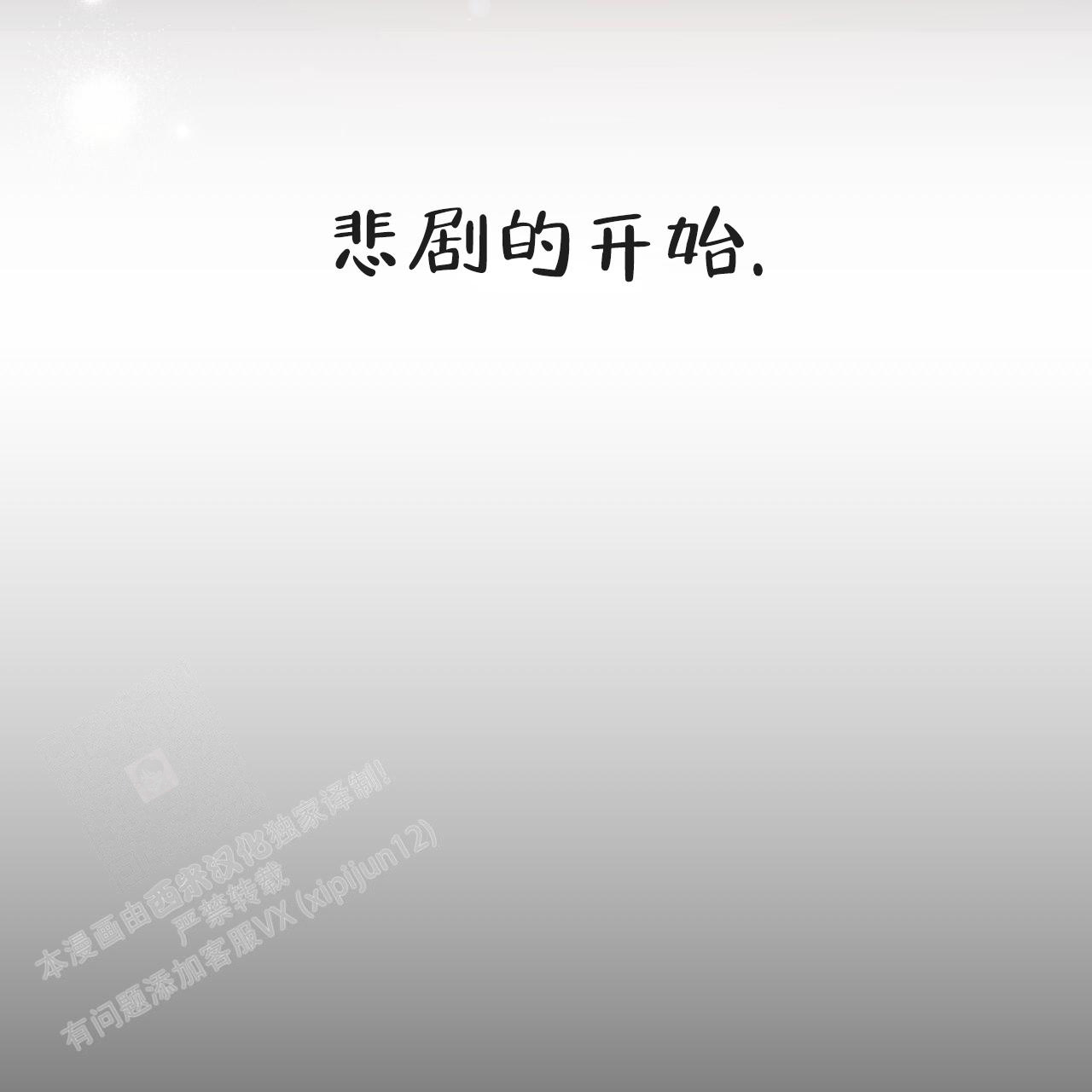 《 夏菲菲的兔子》漫画最新章节第133话免费下拉式在线观看章节第【82】张图片