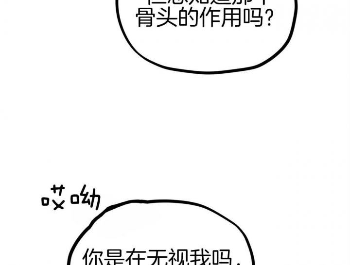 《 夏菲菲的兔子》漫画最新章节第9话免费下拉式在线观看章节第【9】张图片