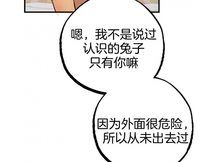 《 夏菲菲的兔子》漫画最新章节第73话免费下拉式在线观看章节第【24】张图片