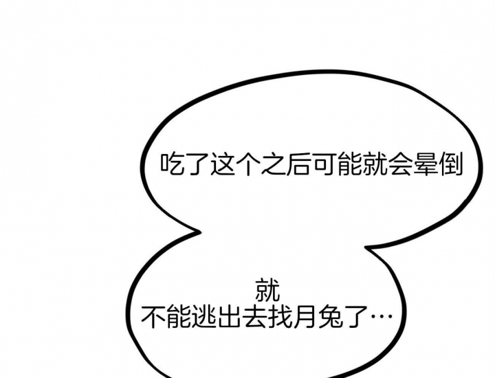 《 夏菲菲的兔子》漫画最新章节第6话免费下拉式在线观看章节第【48】张图片