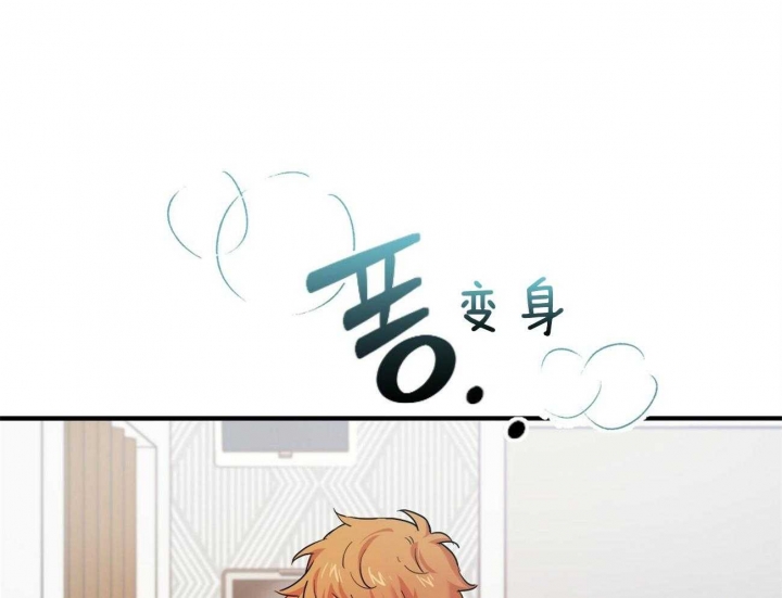 《 夏菲菲的兔子》漫画最新章节第7话免费下拉式在线观看章节第【6】张图片