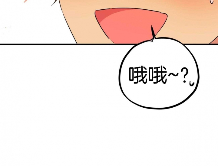 《 夏菲菲的兔子》漫画最新章节第25话免费下拉式在线观看章节第【29】张图片